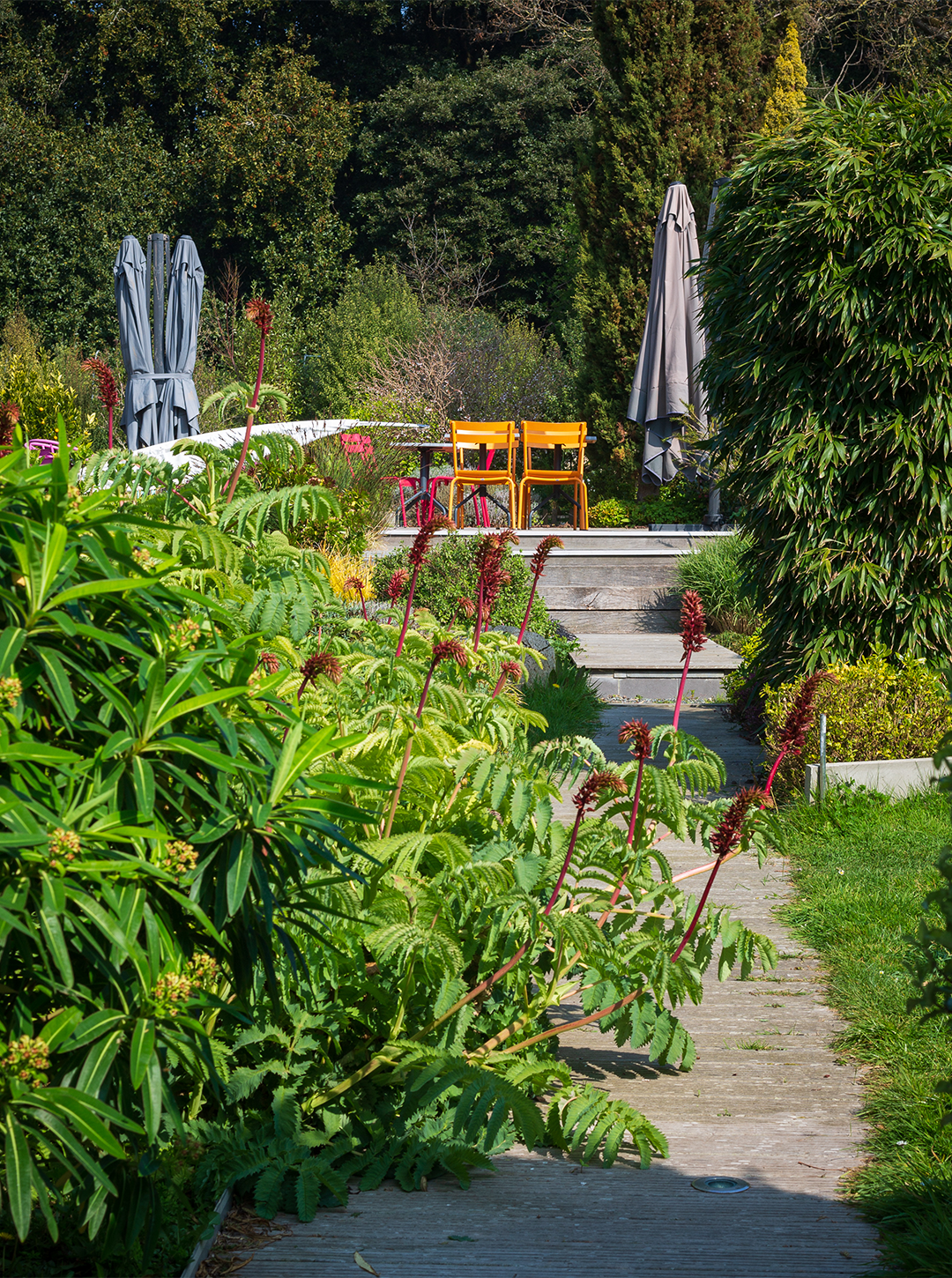 Jardin Hôtel Bellevue Bréhat